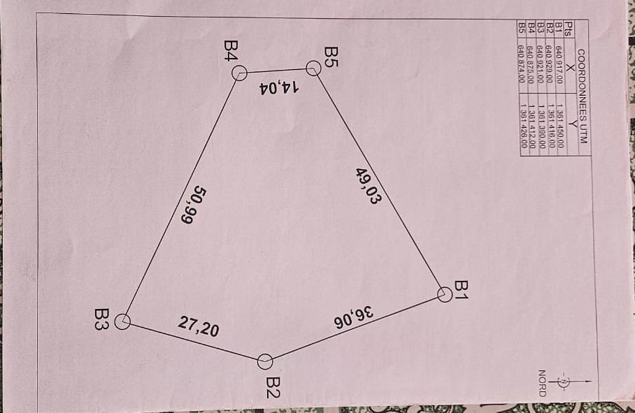 Site Plan — Plot Survey
